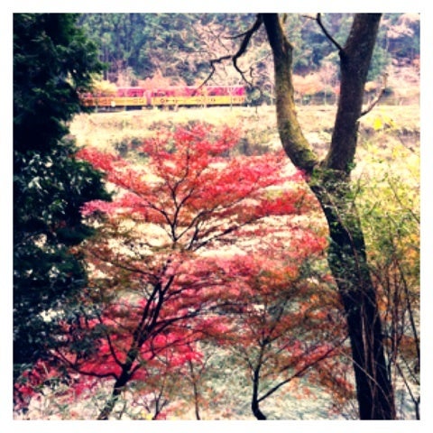 photo:01