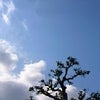 こんばんわぁ＾＾の画像