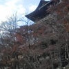 奈良へ行ってみましたの画像
