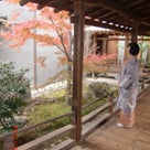 京都『建仁寺』にも行きました！の記事より