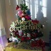 我が家のＸ’ｍａｓはハエ～！！の画像