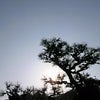 おはよー！SUN！でっす^^の画像