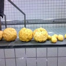 続くかな…このブログ(´・ω・｀)