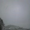 雪ゆきユキの画像