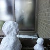 雪だるまの画像