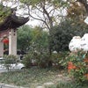 小籠包発祥の地・南翔「上海古猗園餐庁」への画像