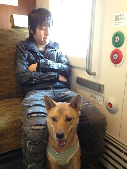 初めての新幹線の個室 引退犬レオン 聴導犬アーミ 安藤美紀