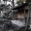 画像、伝法院の画像