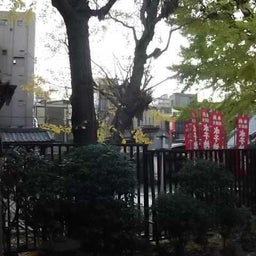 愛に彷徨する愚物の咆哮記 雷電のブログ-20111205 伝法院 (22)