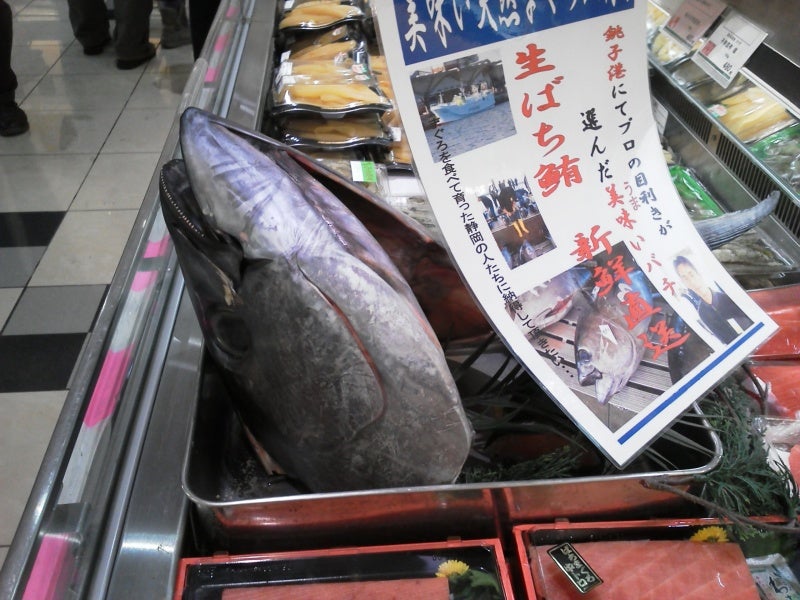 恒例行事の記事画像