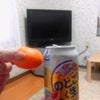 アニメイトの画像