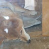 外は氷点下・・・・の画像
