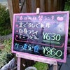 本日のランチ～の画像
