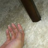 新入りの画像