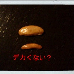 画像 柿。 の記事より