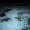 ＊雪降る東京＊の画像