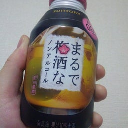 ＊RYO＊のBlog-梅