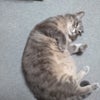 いつから外に？？の画像