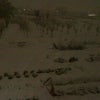 Snowy wishの画像