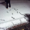稽古が終われば…の画像