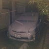 雪～～＼(^o^)／の画像