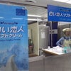 【食の大北海道展】石屋製菓＠白い恋人ソフトクリームの画像