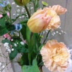 |∵| ... maruko *＊。-SH3J04060001.jpg