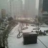 ソウルは雪景色！の画像