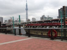 東京で一番美しくスカイツリーが見える寿司屋・屋形船『駒形』ブログ