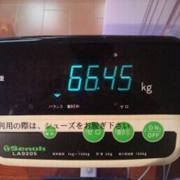 画像 馬鹿は の記事より 3つ目