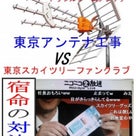 カイトフォト（凧からの空撮）で東京スカイツリーと東京タワーが並んでいる写真を撮影する！の記事より