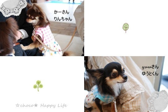 $☆choco★　Happy　Life　