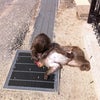 4月2日の画像