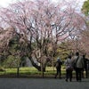 TOKYOぶらぶら　続・六義園の画像
