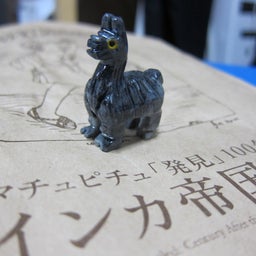 箱入り娘の生活inセブ島