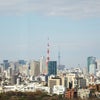 W Tokyo Tower！！の画像