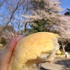 上野毛 キャッスルのメロンパンとお花見の画像