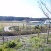 握会in愛・地球博記念公園(・∀・＞)の画像