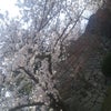2012/04/07の画像