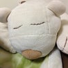 足りないものは？           睡眠です、。の画像