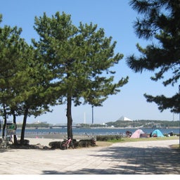 $Junのお気楽ブログ-海の公園　干潮した様子２