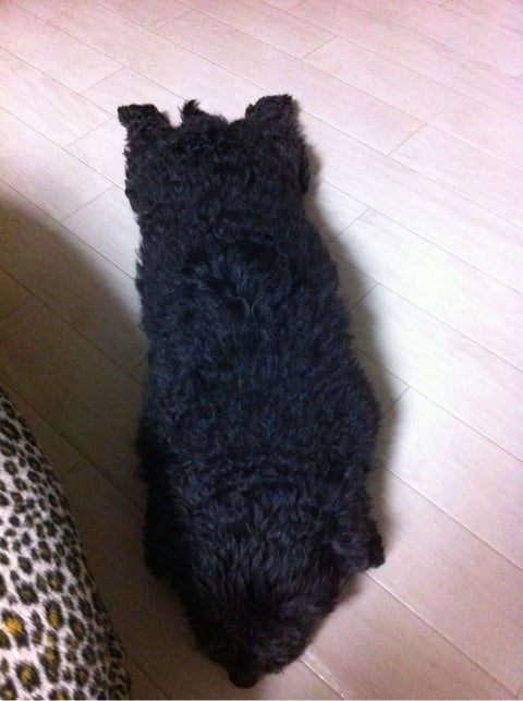 photo:02