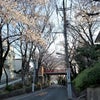 桜坂　2の画像