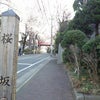 桜坂の画像