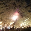 ひとり夜桜の画像