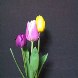 photo:01