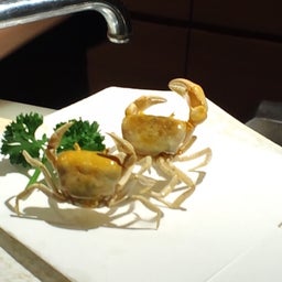 middsさんのﾌﾞﾛｸﾞ-120419_2148~01.jpg