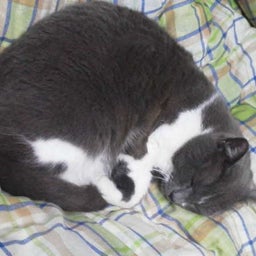 ユンのブログ-20120420065144.jpg