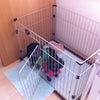 おはよの画像