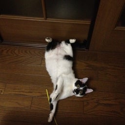 photo:01